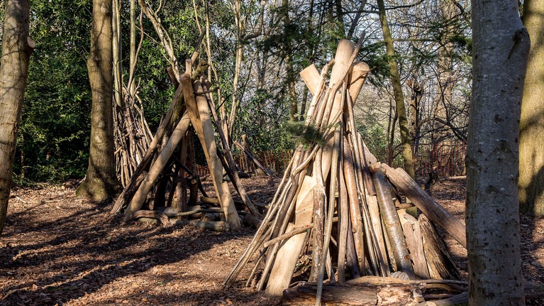 An image of two dens that resemble teepees, constructed from long sticks or branches. These structures are set among trees, sunlight filters through the trees, creating patterns of light and shadow on the ground.